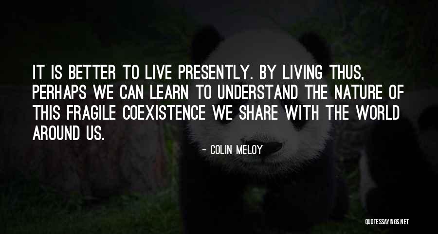 Tamberelli Restaurant Quotes By Colin Meloy Tamberelli Restaurant Quotes By Colin Meloy