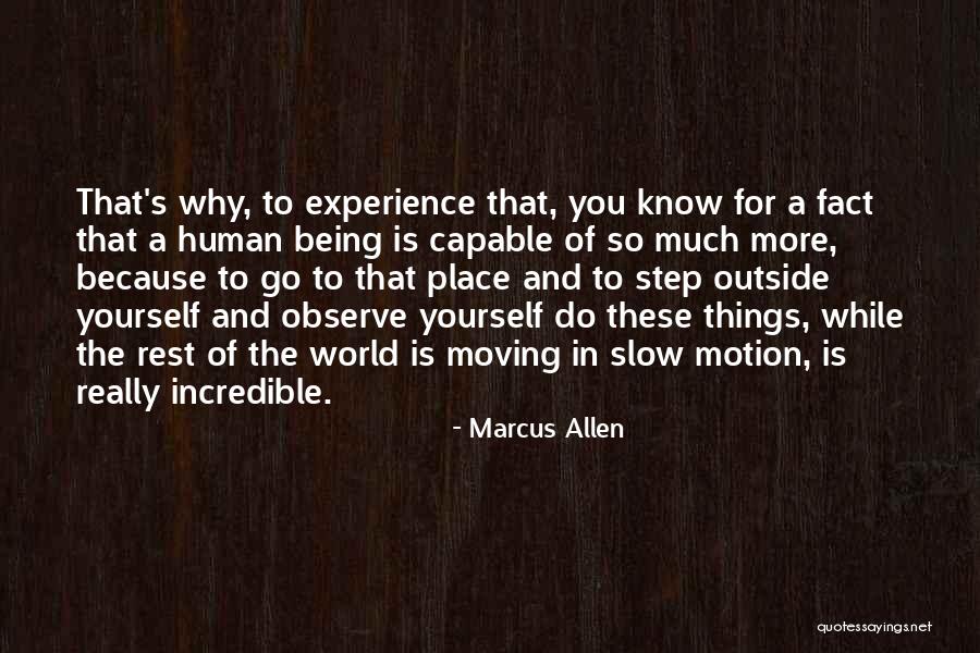 Tamburellis Italian Quotes By Marcus Allen Tamburellis Italian Quotes By Marcus Allen