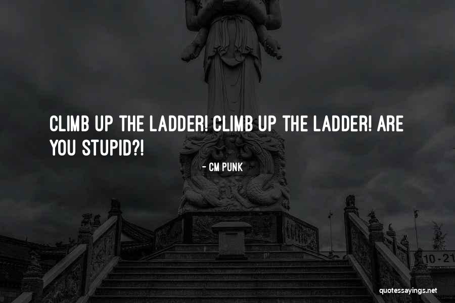 Tamburini General Store Quotes By CM Punk Tamburini General Store Quotes By CM Punk