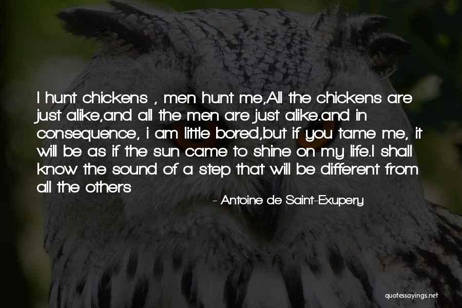 Tame Me Quotes By Antoine De Saint-Exupery