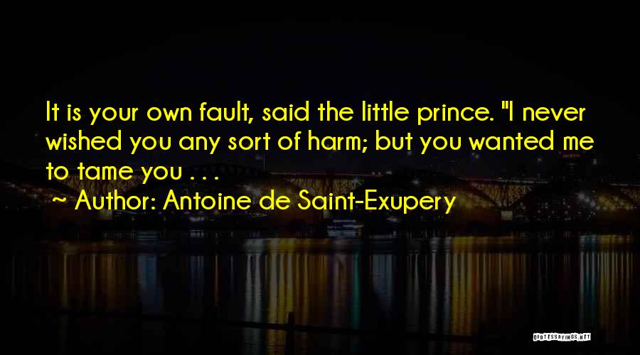 Tame Me Quotes By Antoine De Saint-Exupery