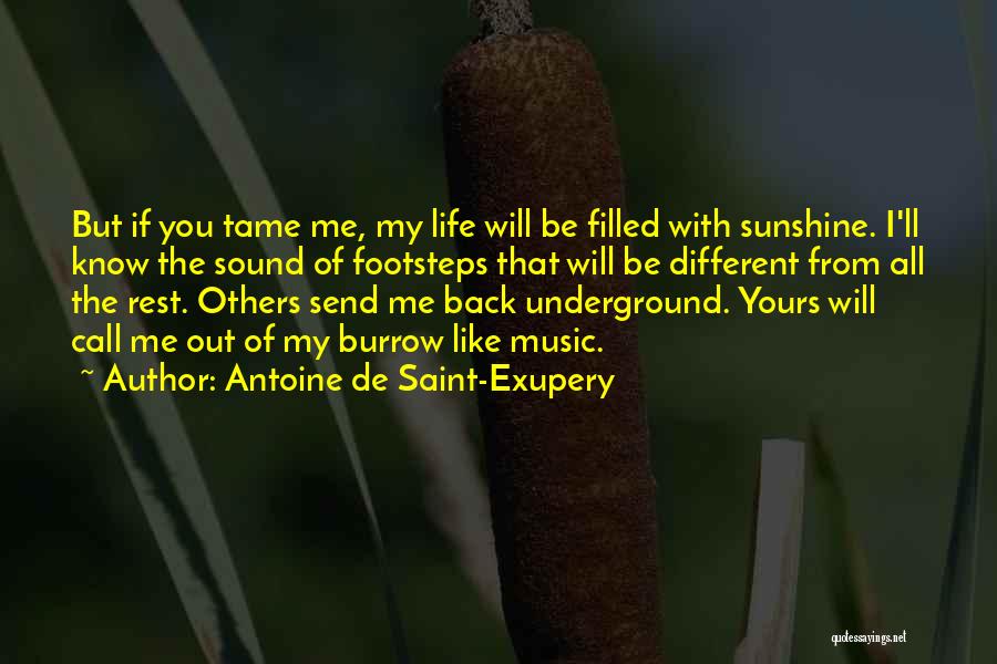 Tame Me Quotes By Antoine De Saint-Exupery