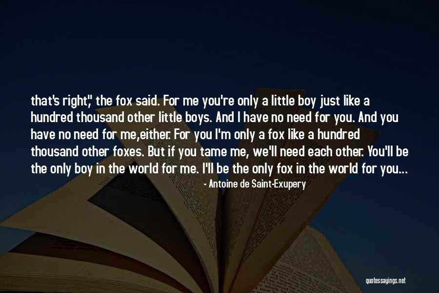 Tame Me Quotes By Antoine De Saint-Exupery