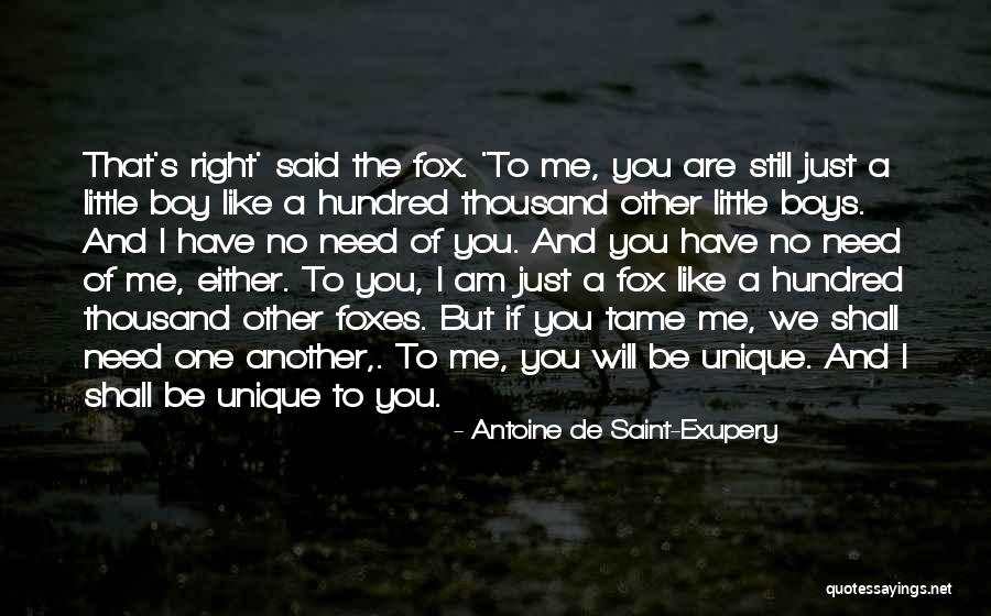 Tame Me Quotes By Antoine De Saint-Exupery