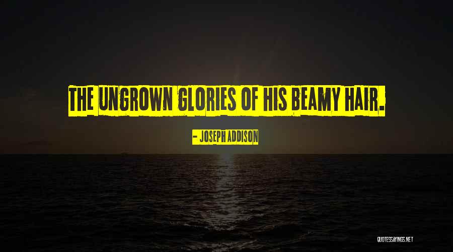 Tameez Quotes By Joseph Addison Tameez Quotes By Joseph Addison