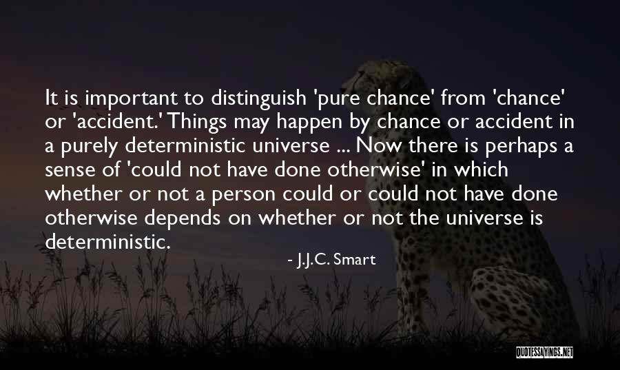 Tamelia Beauty Quotes By J.J.C. Smart Tamelia Beauty Quotes By J.J.C. Smart