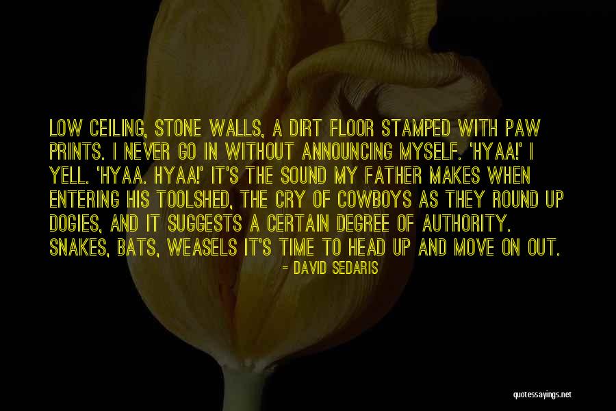 Tamiya Models Quotes By David Sedaris Tamiya Models Quotes By David Sedaris