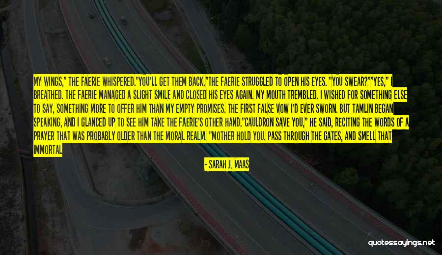 Tamlin Quotes By Sarah J. Maas Tamlin Quotes By Sarah J. Maas