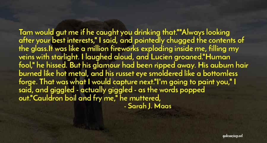 Tamlin Quotes By Sarah J. Maas Tamlin Quotes By Sarah J. Maas