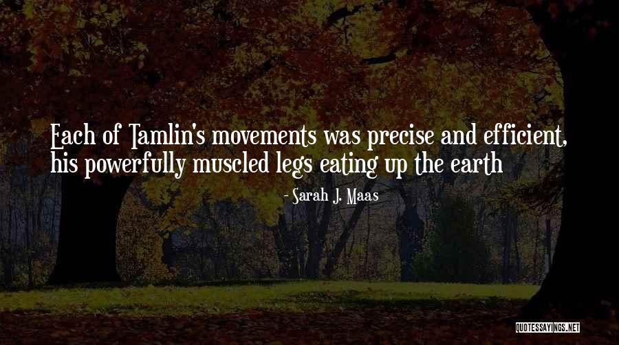 Tamlin Quotes By Sarah J. Maas Tamlin Quotes By Sarah J. Maas