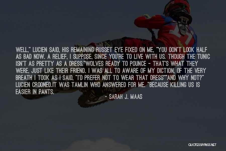 Tamlin Quotes By Sarah J. Maas Tamlin Quotes By Sarah J. Maas