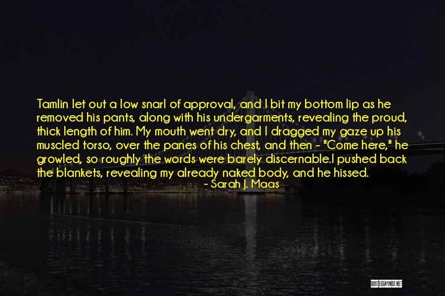 Tamlin Quotes By Sarah J. Maas Tamlin Quotes By Sarah J. Maas