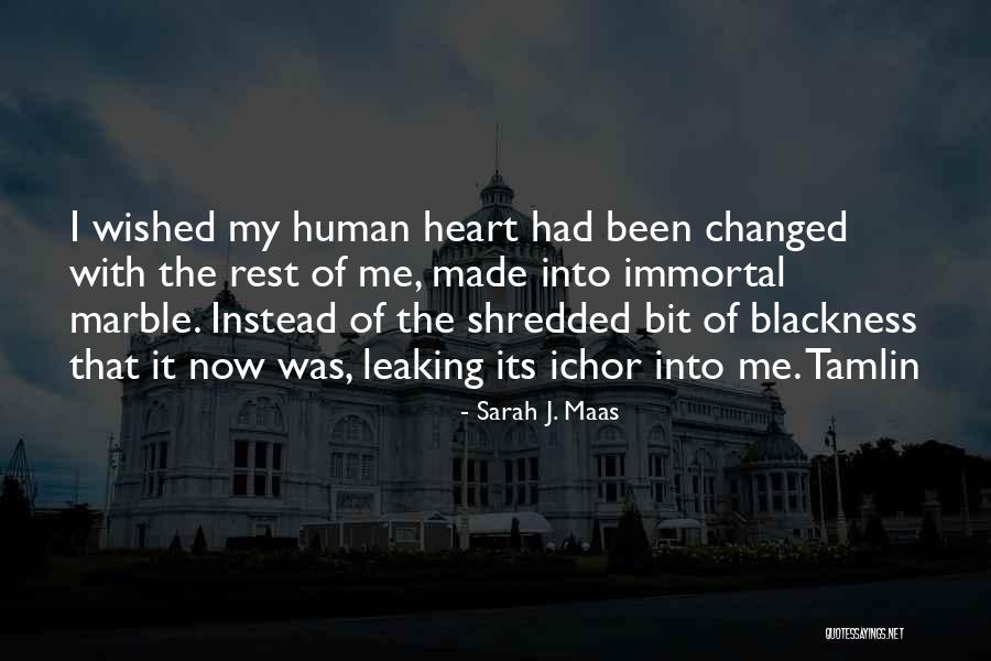 Tamlin Quotes By Sarah J. Maas Tamlin Quotes By Sarah J. Maas