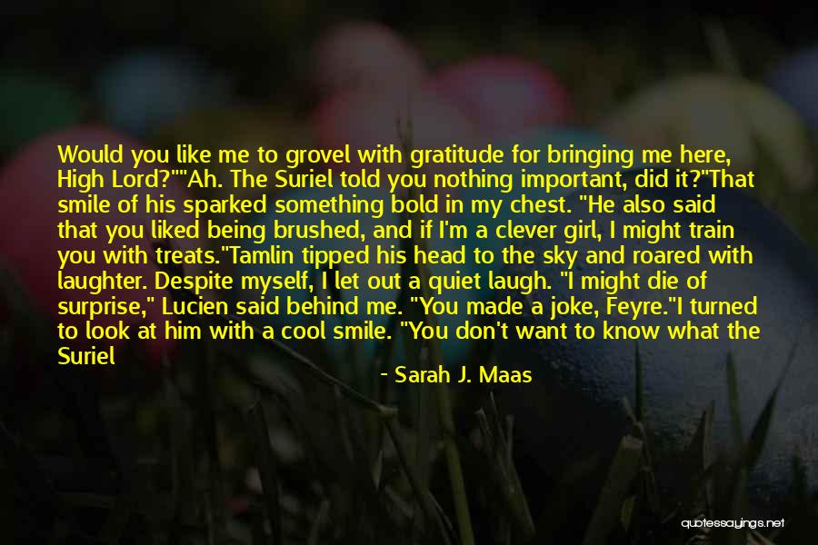 Tamlin Quotes By Sarah J. Maas Tamlin Quotes By Sarah J. Maas