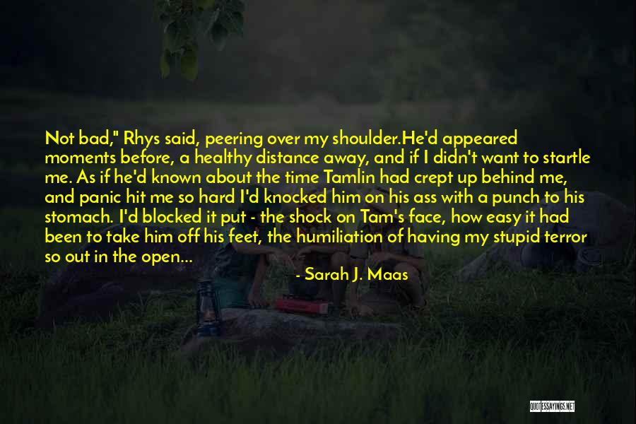 Tamlin Quotes By Sarah J. Maas Tamlin Quotes By Sarah J. Maas