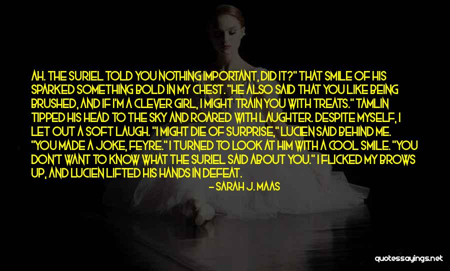 Tamlin Quotes By Sarah J. Maas Tamlin Quotes By Sarah J. Maas