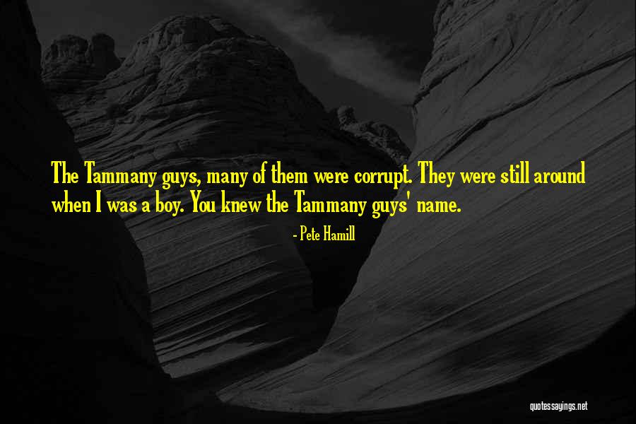 Tammany Quotes By Pete Hamill Tammany Quotes By Pete Hamill