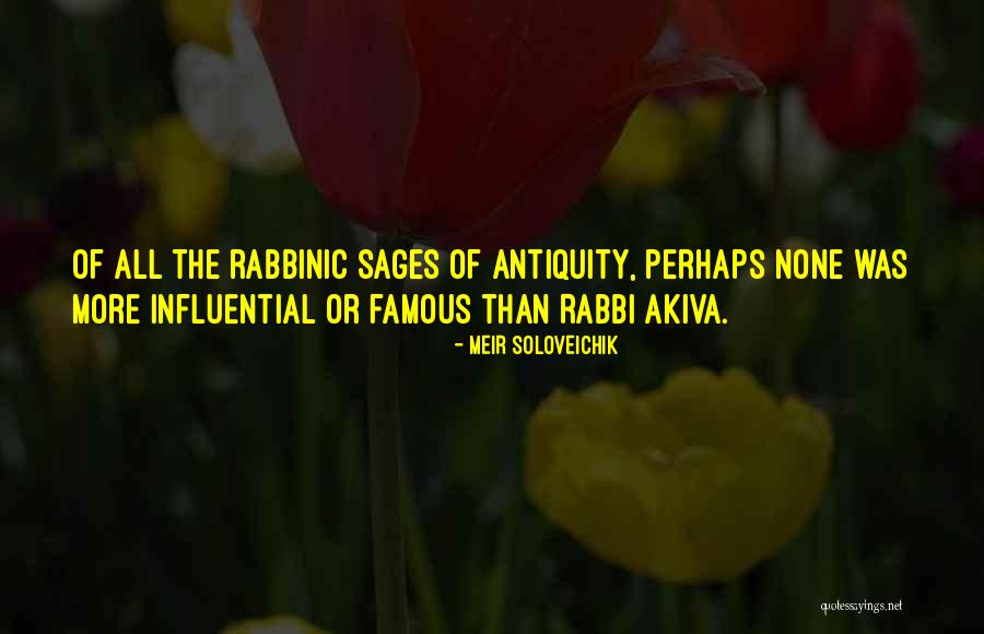 Tammey Morris Quotes By Meir Soloveichik Tammey Morris Quotes By Meir Soloveichik