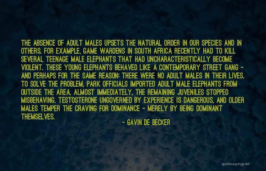 Tammineni Quotes By Gavin De Becker Tammineni Quotes By Gavin De Becker