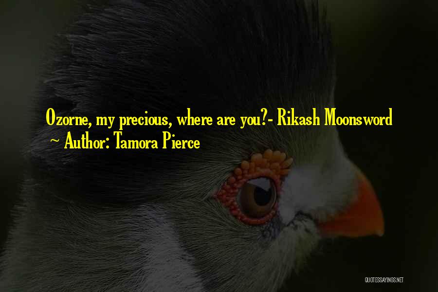 Tamora Pierce Quotes 1642810