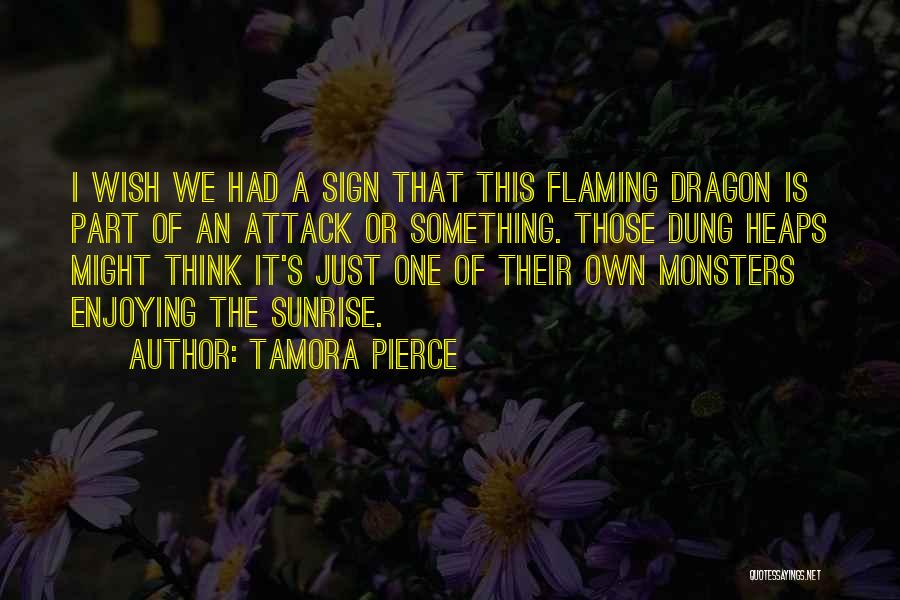 Tamora Pierce Quotes 289142