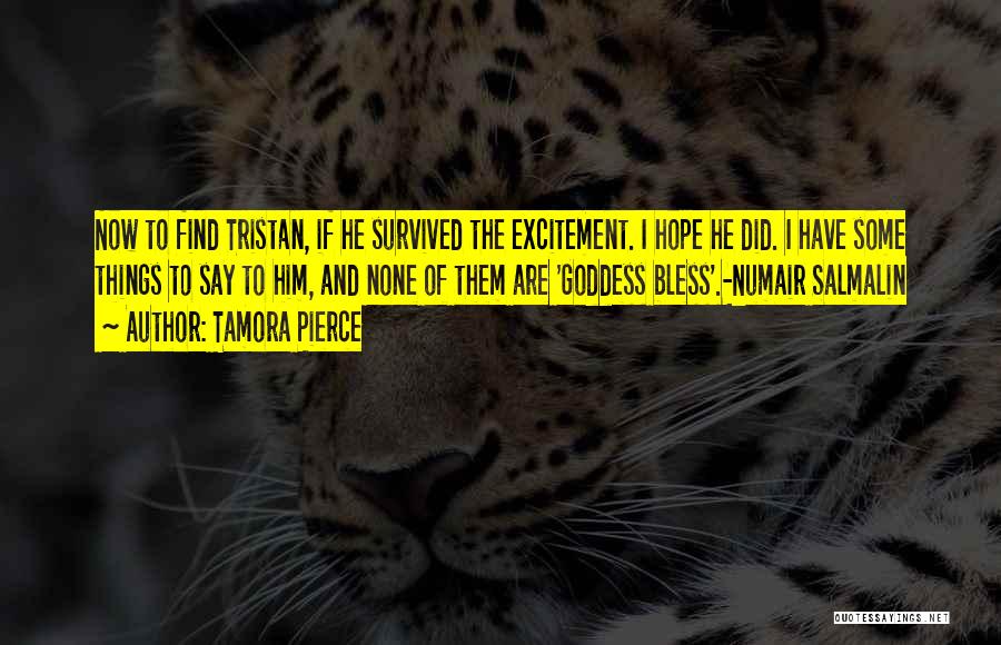 Tamora Pierce Quotes 639362