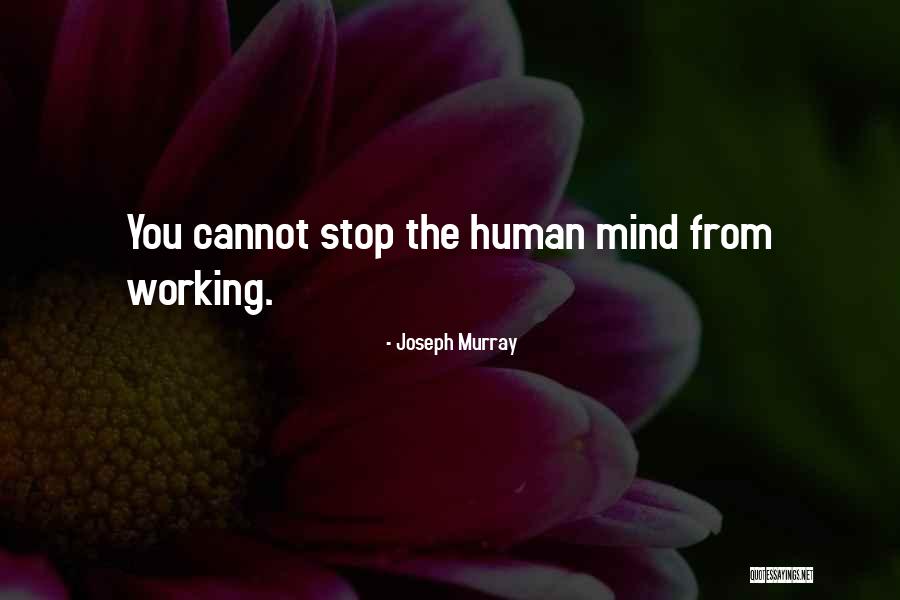 Tampos Cozinha Quotes By Joseph Murray Tampos Cozinha Quotes By Joseph Murray