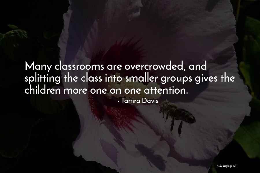 Tamra Davis Quotes 532989 Tamra Davis Quotes 532989