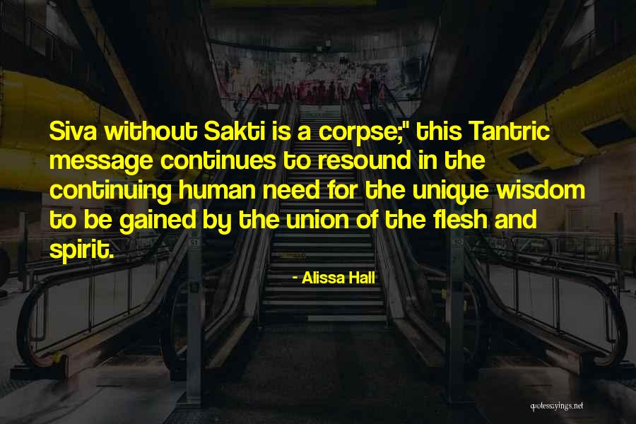 Tanago Fishing Quotes By Alissa Hall