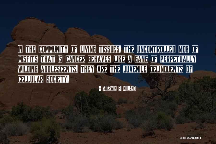 Tanaris Mining Quotes By Sherwin B. Nuland Tanaris Mining Quotes By Sherwin B. Nuland
