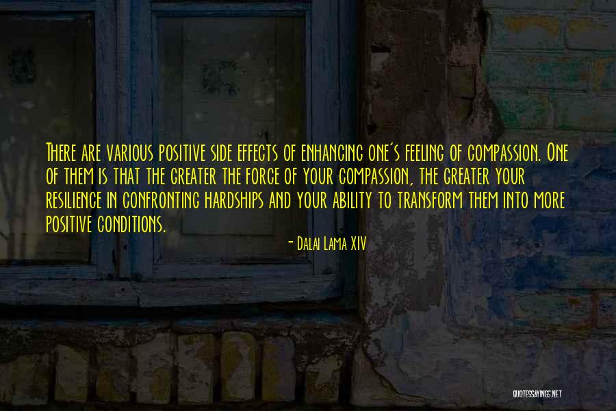 Tandartspraktijk Quotes By Dalai Lama XIV Tandartspraktijk Quotes By Dalai Lama XIV
