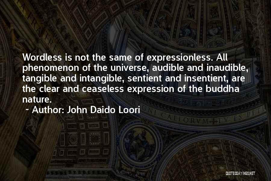 Tangible Quotes By John Daido Loori