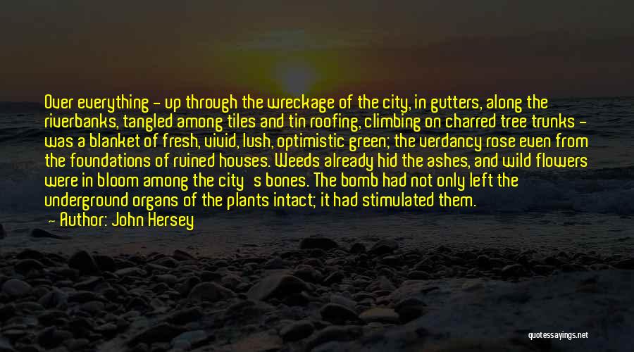 Tangled Up Quotes By John Hersey