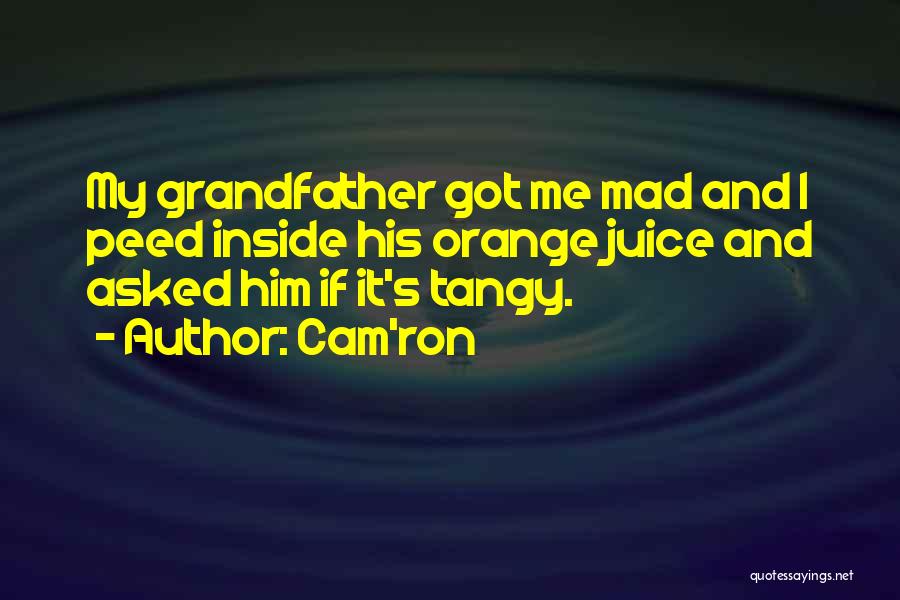 Tangy Quotes By Cam'ron