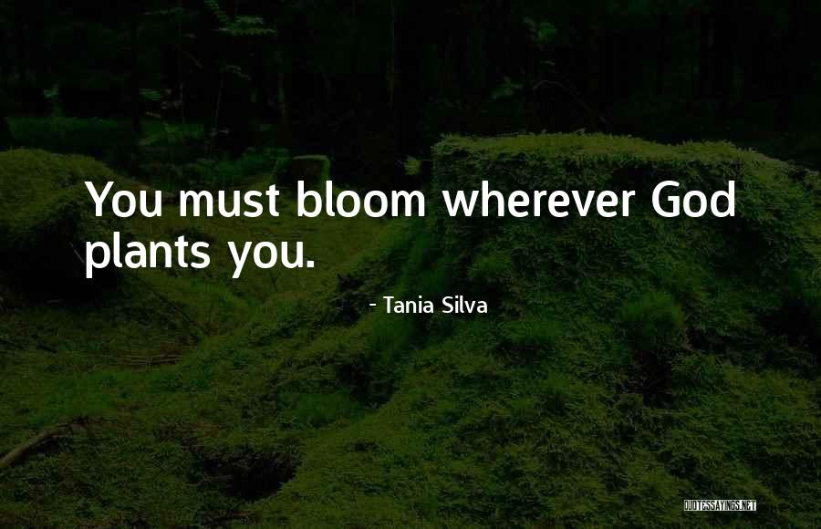 Tania Silva Quotes 252140 Tania Silva Quotes 252140