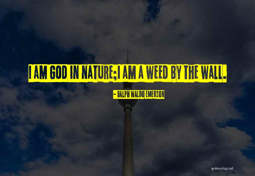 Tanichi Quotes By Ralph Waldo Emerson Tanichi Quotes By Ralph Waldo Emerson