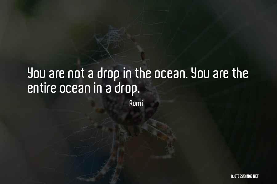 Tanikella Idaho Quotes By Rumi Tanikella Idaho Quotes By Rumi