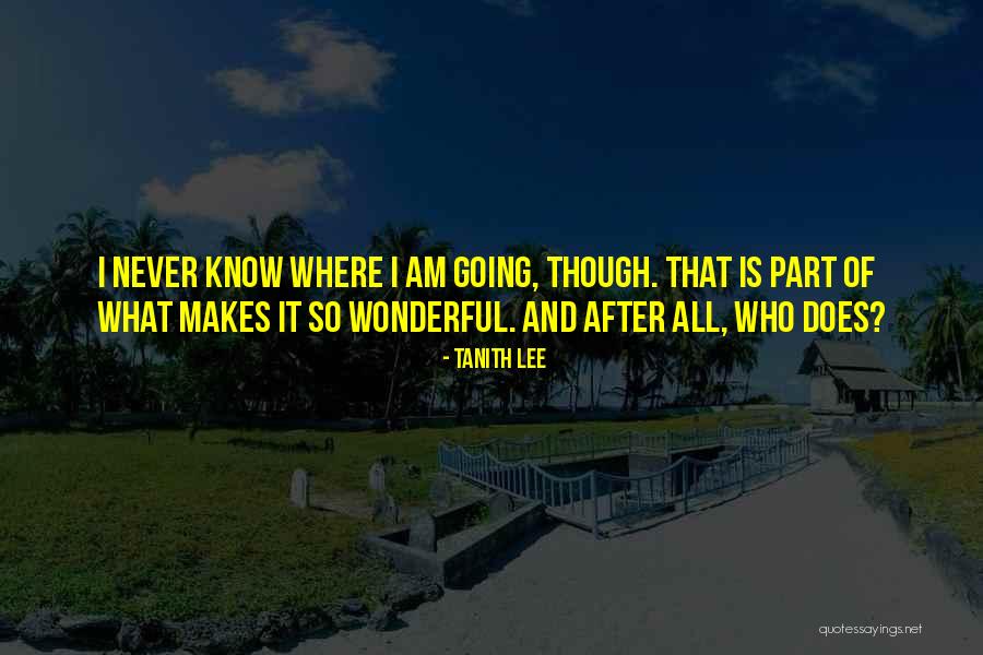 Tanith Lee Quotes 155583 Tanith Lee Quotes 155583