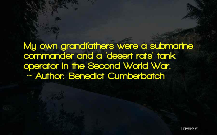 Tank Commander Quotes By Benedict Cumberbatch