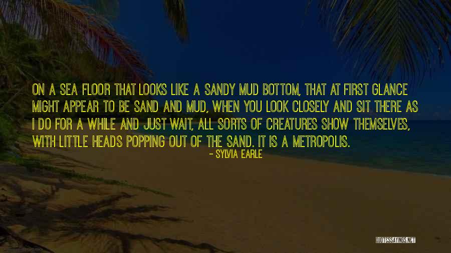 Tanry Camry Quotes By Sylvia Earle Tanry Camry Quotes By Sylvia Earle