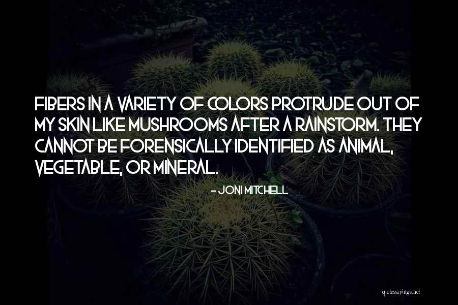Tansor Face Quotes By Joni Mitchell
