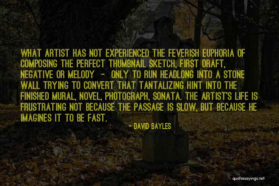 Tantalizing Quotes By David Bayles