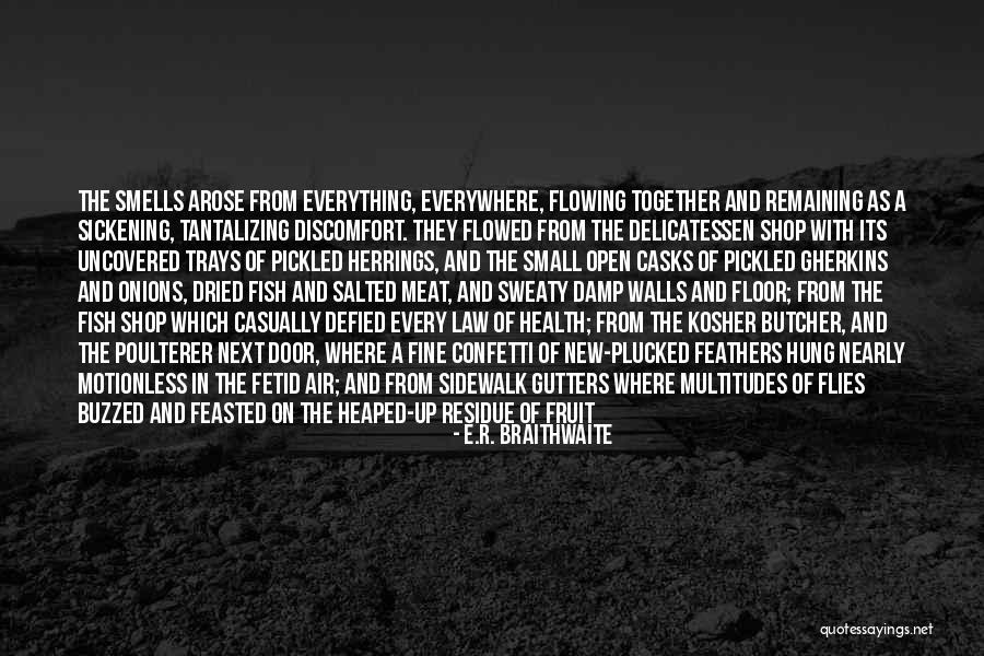 Tantalizing Quotes By E.R. Braithwaite Tantalizing Quotes By E.R. Braithwaite