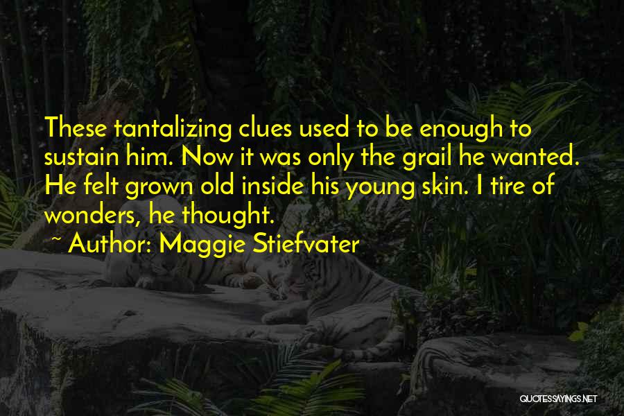 Tantalizing Quotes By Maggie Stiefvater