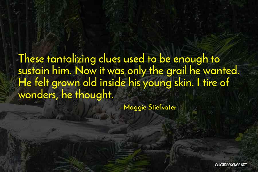 Tantalizing Quotes By Maggie Stiefvater