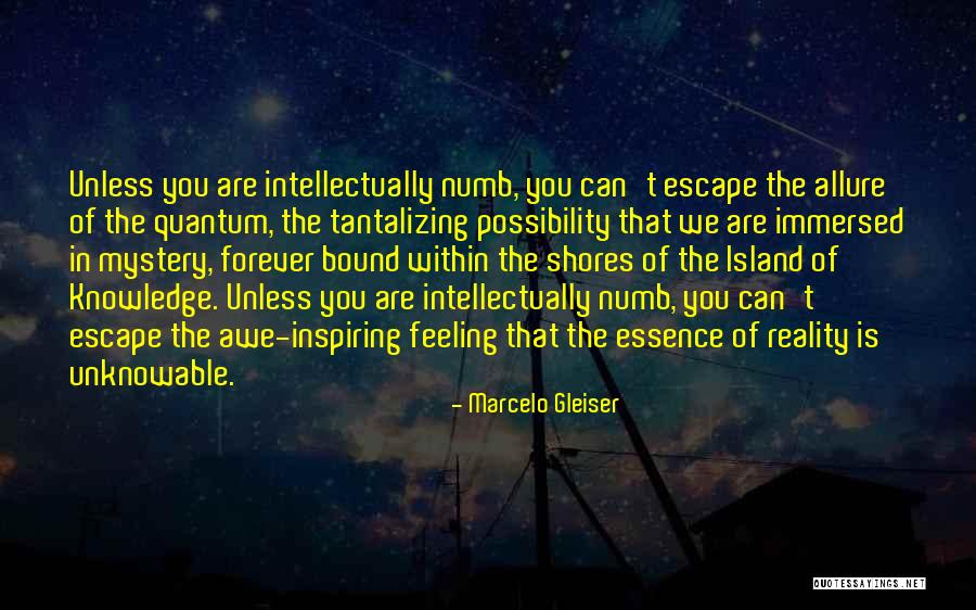 Tantalizing Quotes By Marcelo Gleiser Tantalizing Quotes By Marcelo Gleiser