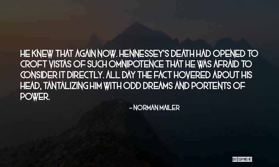 Tantalizing Quotes By Norman Mailer Tantalizing Quotes By Norman Mailer
