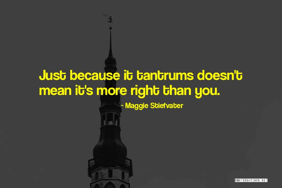 Tantrums Quotes By Maggie Stiefvater Tantrums Quotes By Maggie Stiefvater