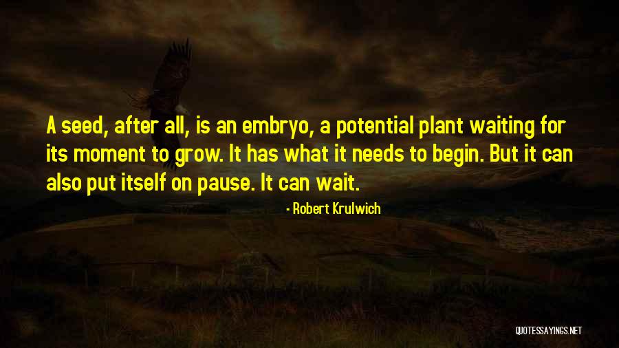 Tanulj Quotes By Robert Krulwich Tanulj Quotes By Robert Krulwich