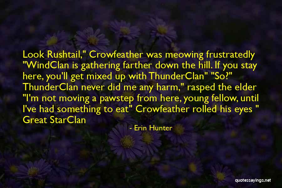 Tanushree Chakraborty Quotes By Erin Hunter Tanushree Chakraborty Quotes By Erin Hunter